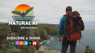 Natural AF podcast Featuring Nigel Dixon and Primal Kiwi